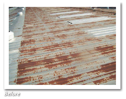 Before AWS Ure-A-Sil Roof Coating